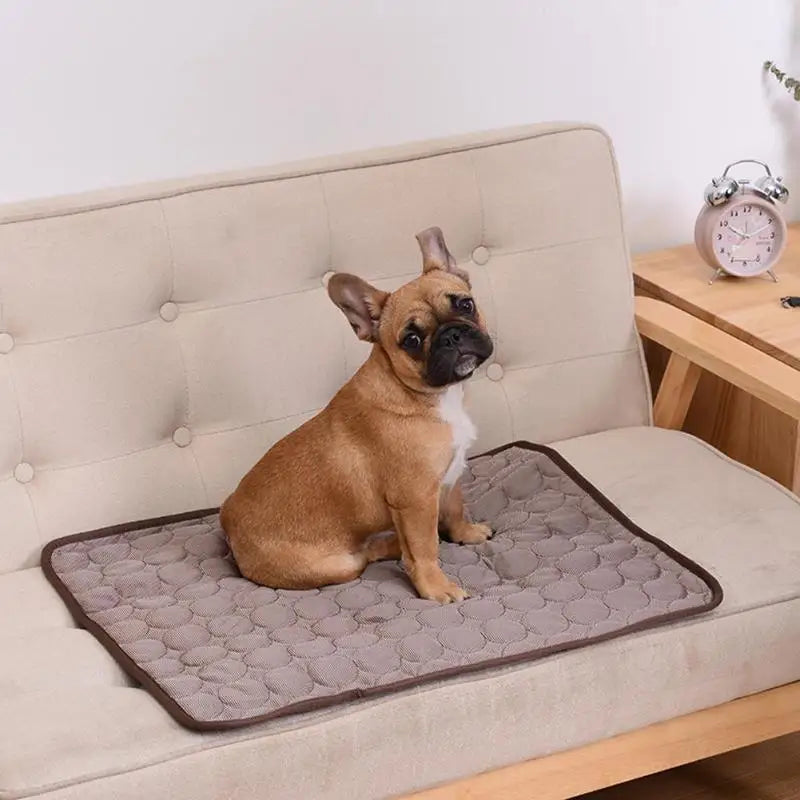 Cooling Mat Summer Pad for Dogs and Cats